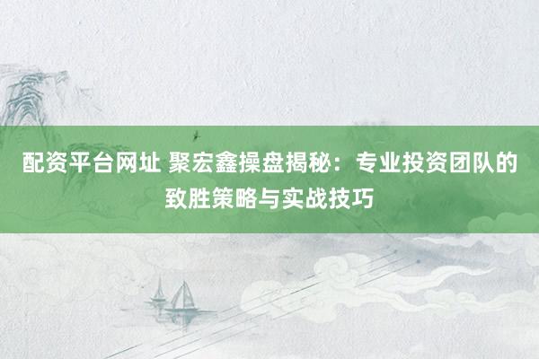 配资平台网址 聚宏鑫操盘揭秘：专业投资团队的致胜策略与实战技巧