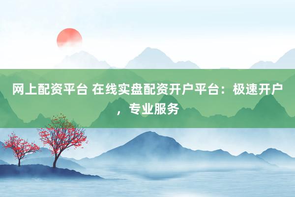 网上配资平台 在线实盘配资开户平台：极速开户，专业服务