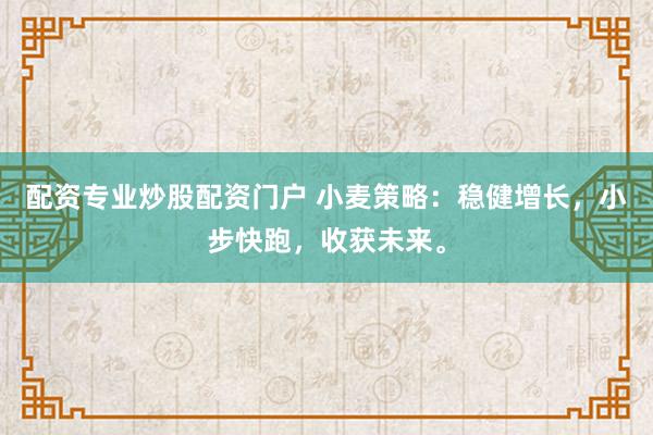配资专业炒股配资门户 小麦策略：稳健增长，小步快跑，收获未来。