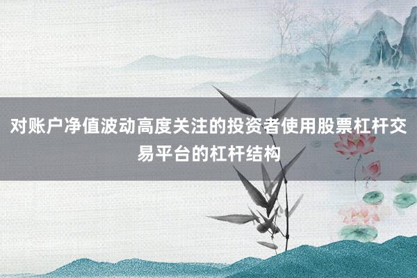 对账户净值波动高度关注的投资者使用股票杠杆交易平台的杠杆结构