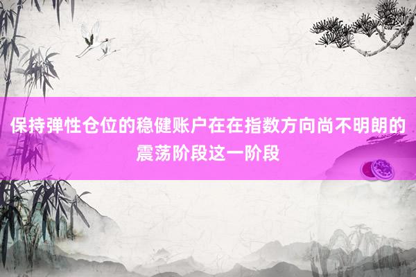 保持弹性仓位的稳健账户在在指数方向尚不明朗的震荡阶段这一阶段