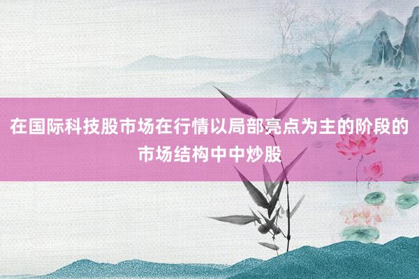 在国际科技股市场在行情以局部亮点为主的阶段的市场结构中中炒股