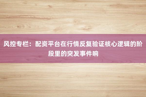 风控专栏:配资平台在行情反复验证核心逻辑的阶段里的突发事件响